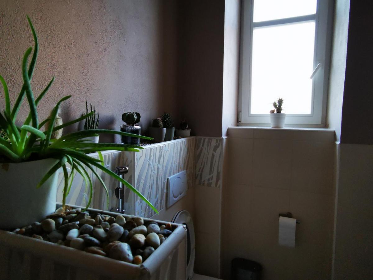 טרנבה Falcon Apartment מראה חיצוני תמונה